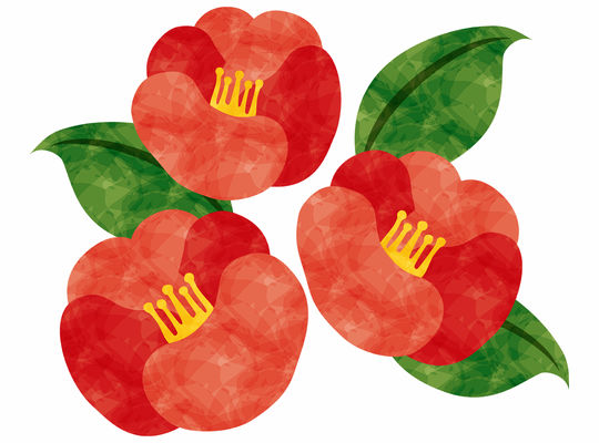 椿の花のイラスト